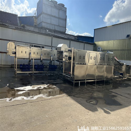 一站式解決大姜生產(chǎn)難題，選擇瑞糧食品工業(yè)裝備大姜清洗機(jī)